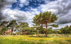Chatham Cemetery