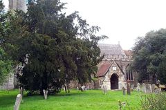 Tenterden St Mildred