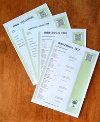 Irish Census Package 